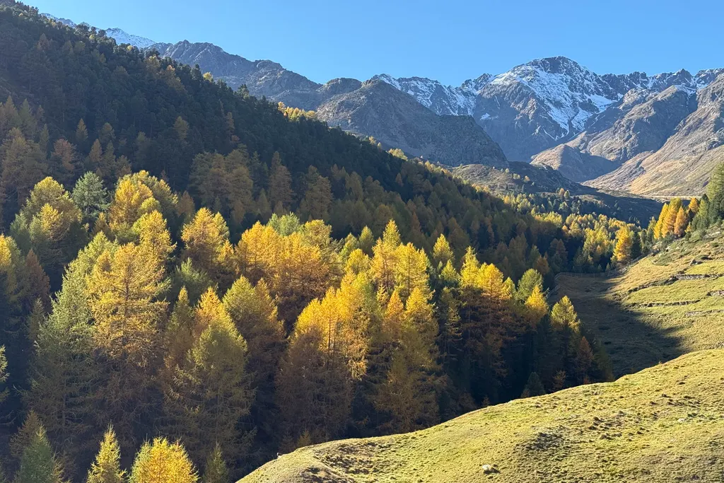 Maso Corto / Alpin Arena Senales, zdjęcie 42