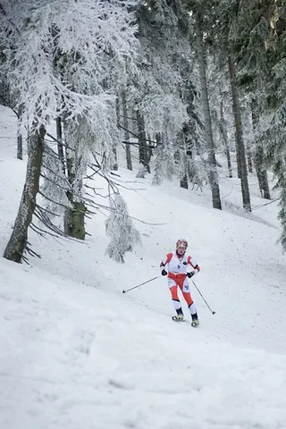 Zdjęcie 4 z galerii VII Polar Sport Skitour im. Basi German