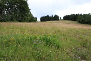 Szczyrk Juliany, zdjęcie 24