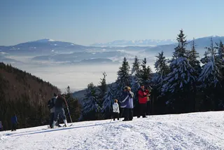 Beskidy: Szyndzielnia i Klimczok, zdjęcie 22