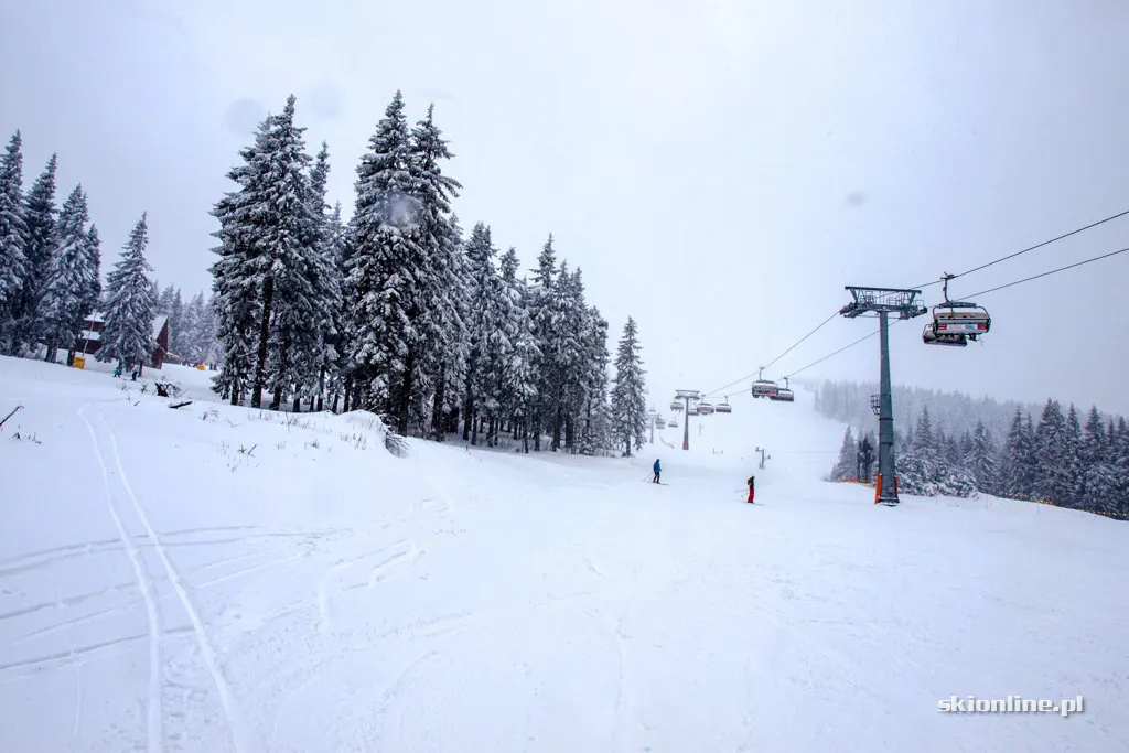 Winter Park Martinky, zdjęcie 33