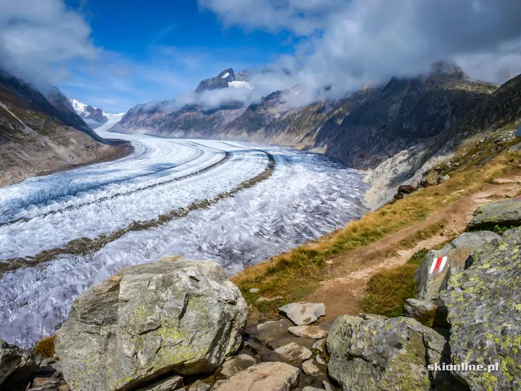 Lodowiec Aletsch w Szwajcarii, zdjęcie 13
