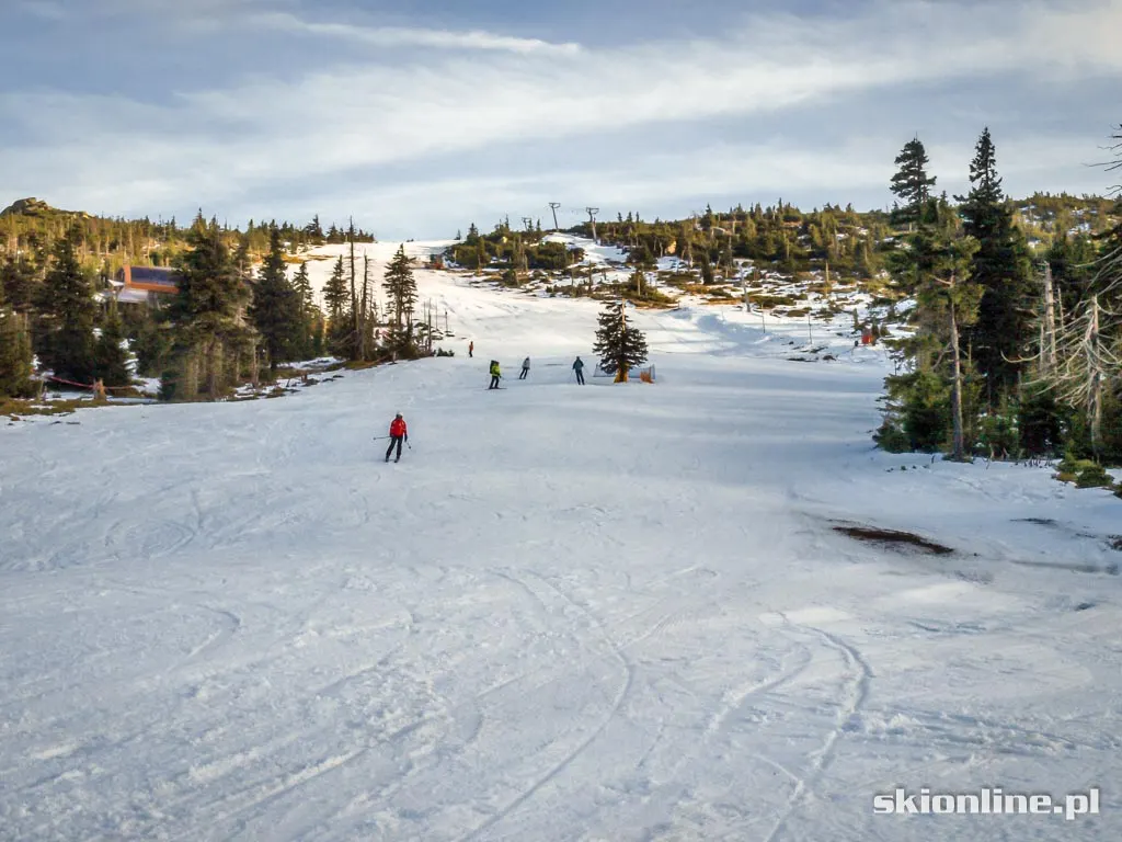 Ski Arena Szrenica. Koniec stycznia 2016, zdjęcie 11