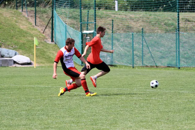 Mecz Austria: Polska, zdjęcie 17