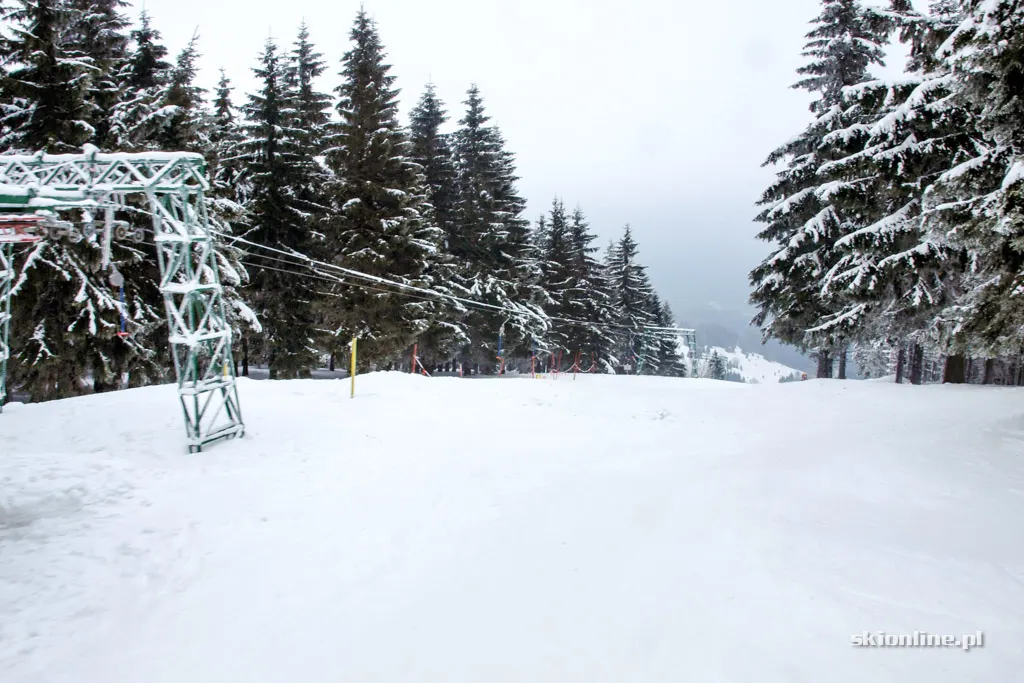 Zieleniec Ski Arena: Winterpol, zima w pełni, zdjęcie 41