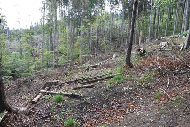Wisła Nowa Osada budowa 4 os. krzesła, zdjęcie 19