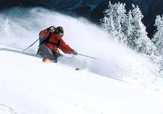 Zdjęcie 28 z galerii Freeride