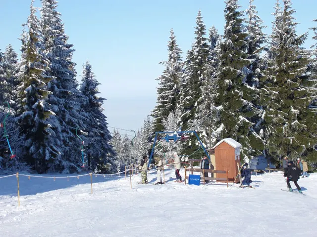Zima w Beskidach: Szyndzielnia, zdjęcie 32