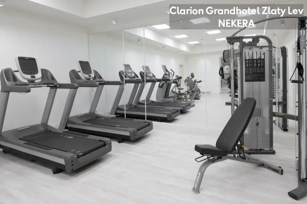 Clarion Grandhotel Zlaty Lev, zdjęcie 14