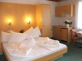 Hotel Alpina Mountain Resort, zdjęcie 11