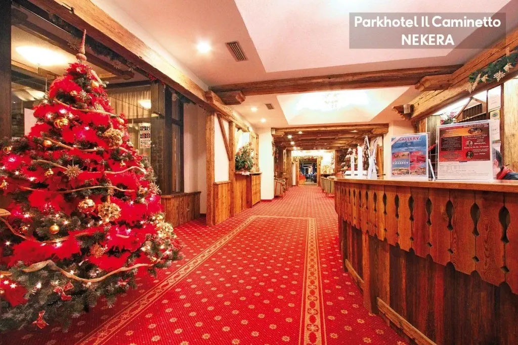 Park Hotel Il Caminetto, zdjęcie 10