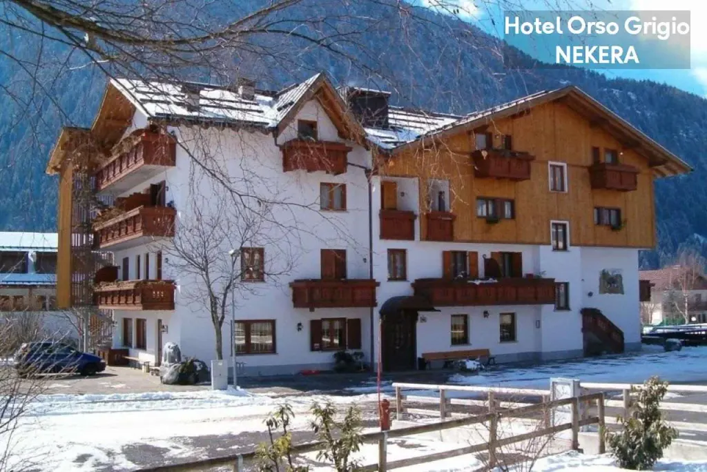 Hotel Orso Grigio, Carisolo (Trentino)