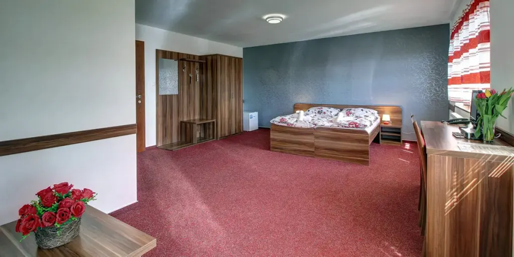 Hotel Avalanche, zdjęcie 16