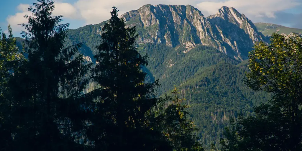 Geovita Zakopane, zdjęcie 4