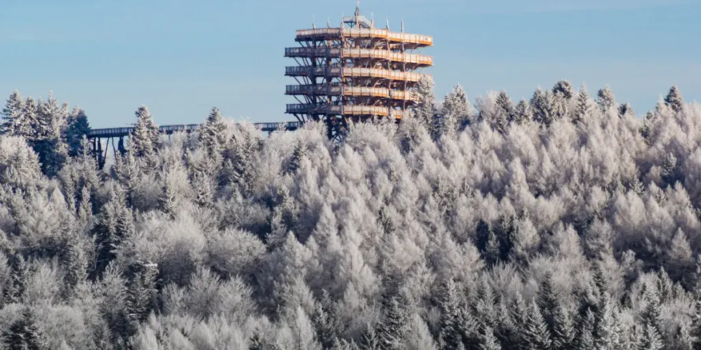 Ośrodek Wypoczynkowy Evita, Krynica-Zdrój (Beskidy Zachodnie)