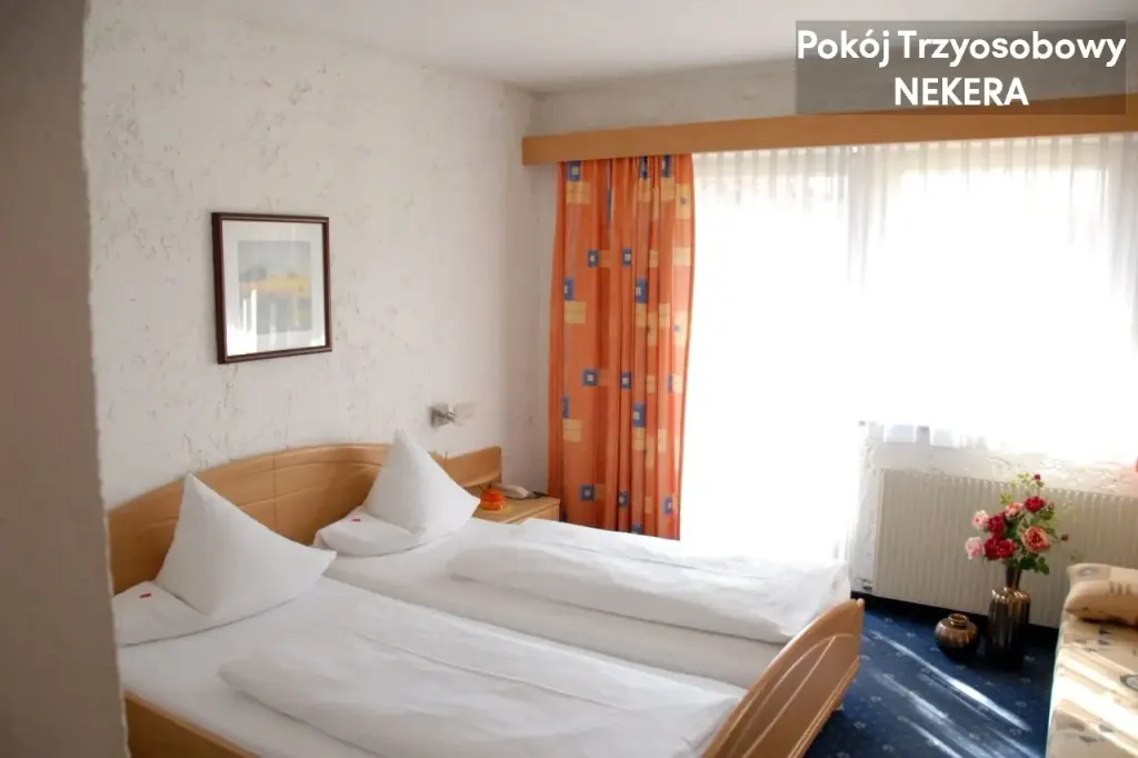 Hotel Edelweiss, zdjęcie 3