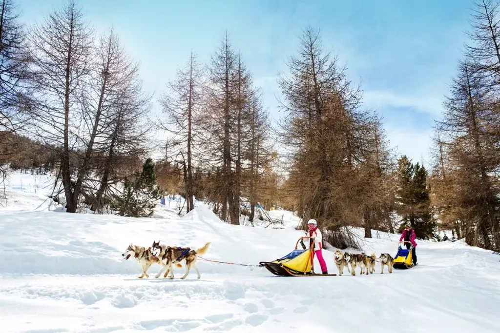 Uappala Sestriere, zdjęcie 20