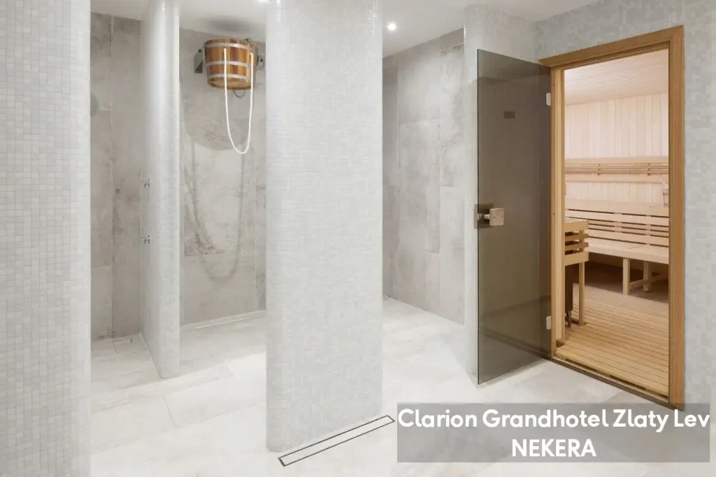 Clarion Grandhotel Zlaty Lev, zdjęcie 11