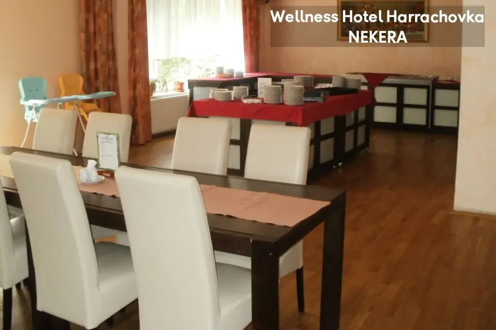 Wellness Hotel Harrachovka, zdjęcie 7