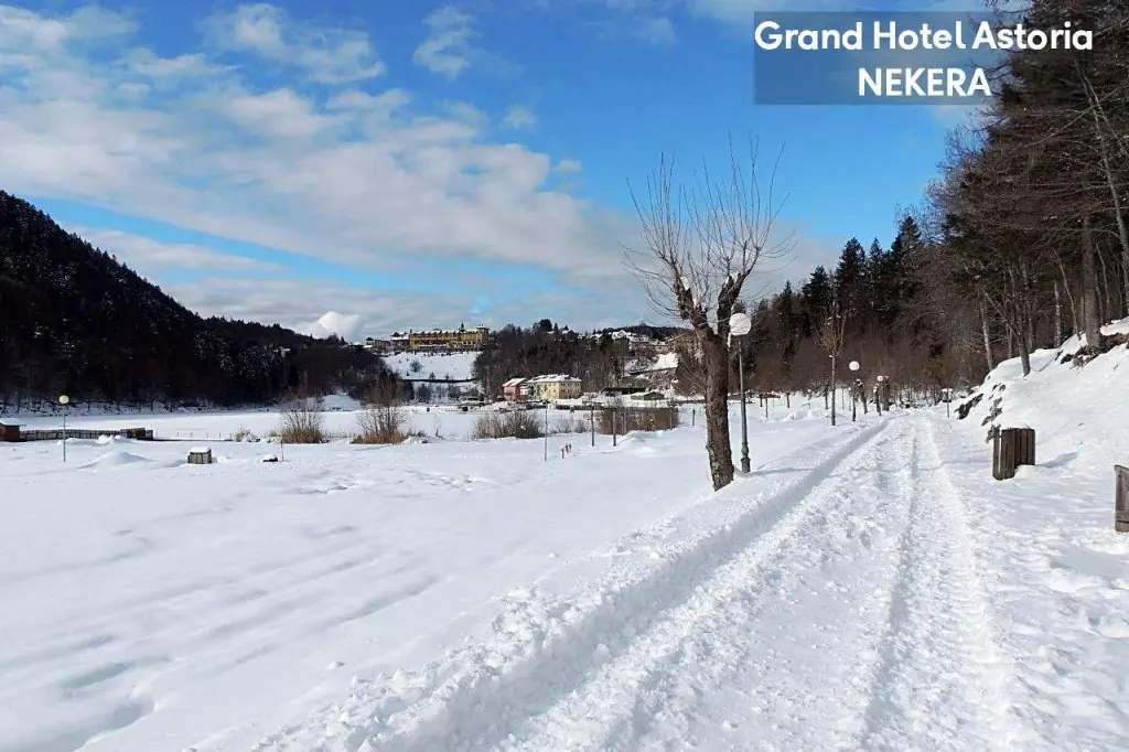 Grand Hotel Astoria, zdjęcie 14
