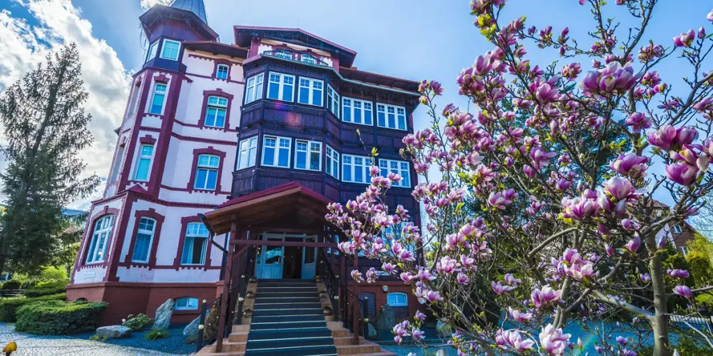 Magnolia III, zdjęcie 3