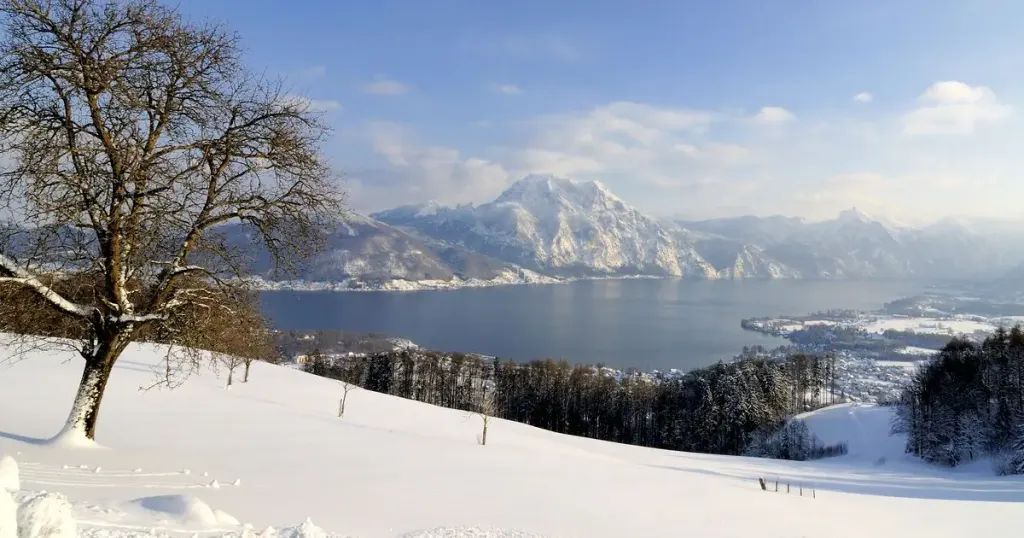 Panoramahotel Traunstein, zdjęcie 5