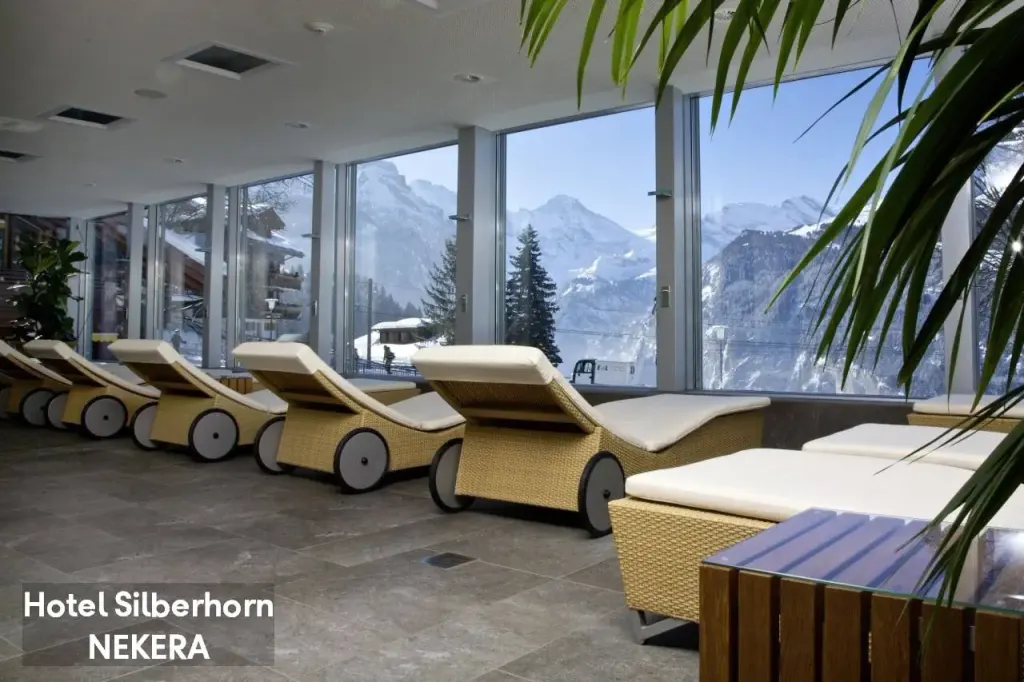 Hotel Silberhorn, zdjęcie 14