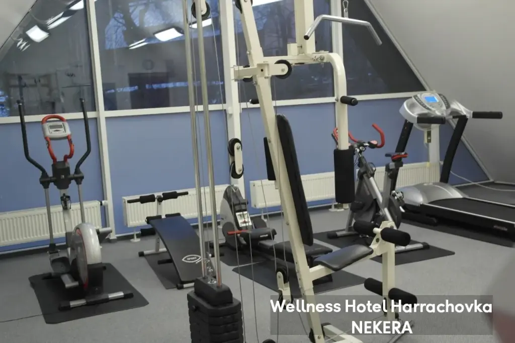 Wellness Hotel Harrachovka, zdjęcie 6