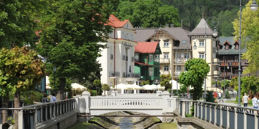 Willa Tatrzańska Hotel & SPA, zdjęcie 18