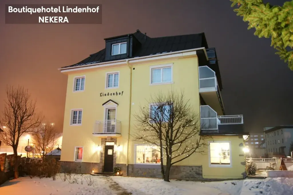 Hotel Lindenhof, zdjęcie 14