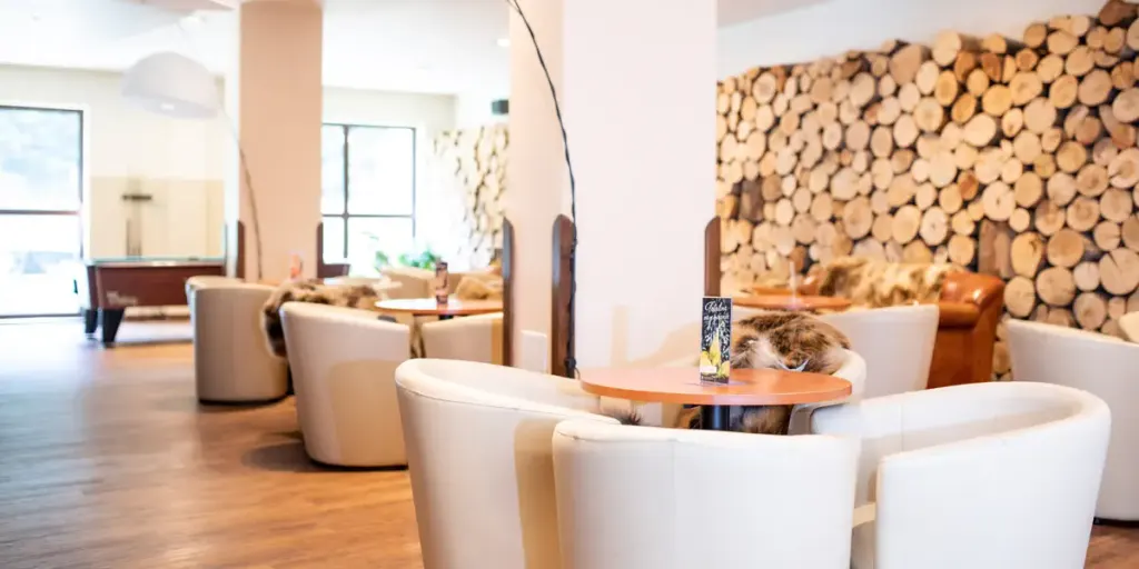 Hotel Wierchomla Ski & Spa Resort, zdjęcie 18