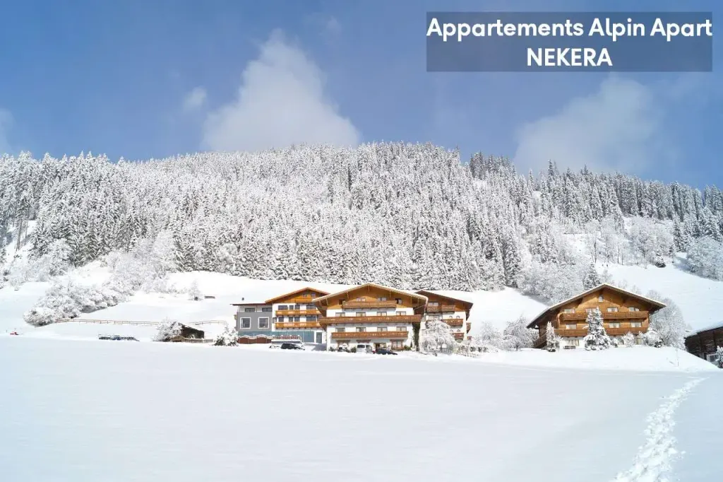 Appartements Alpin Apart, Flachau