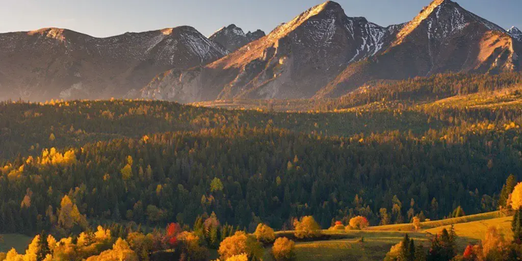 Biały Dunajec Resort & Spa, zdjęcie 14