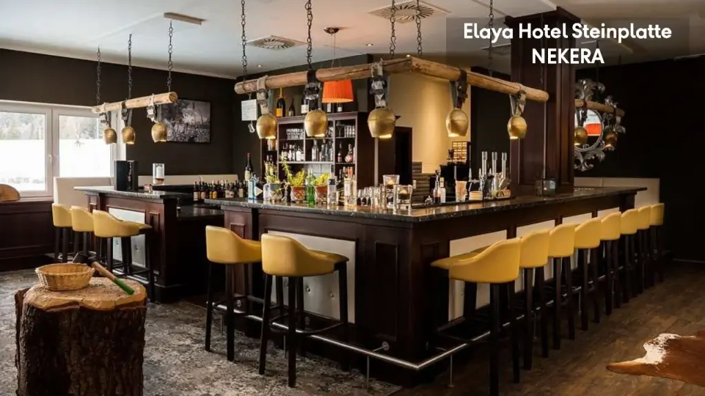 elaya hotel steinplatte, zdjęcie 7