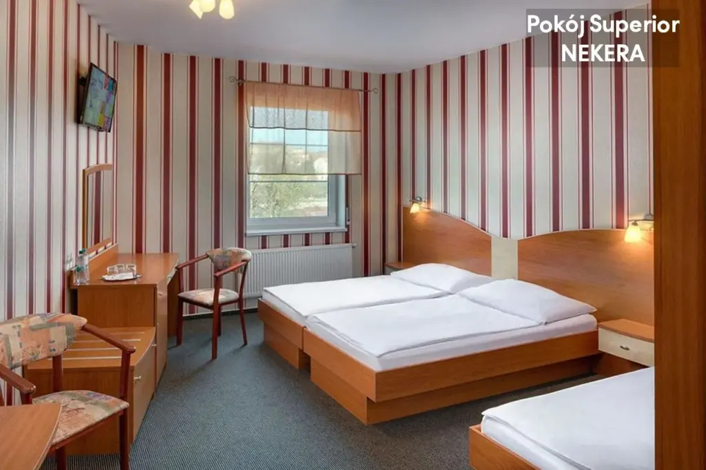 Wellness Hotel Babylon, zdjęcie 5