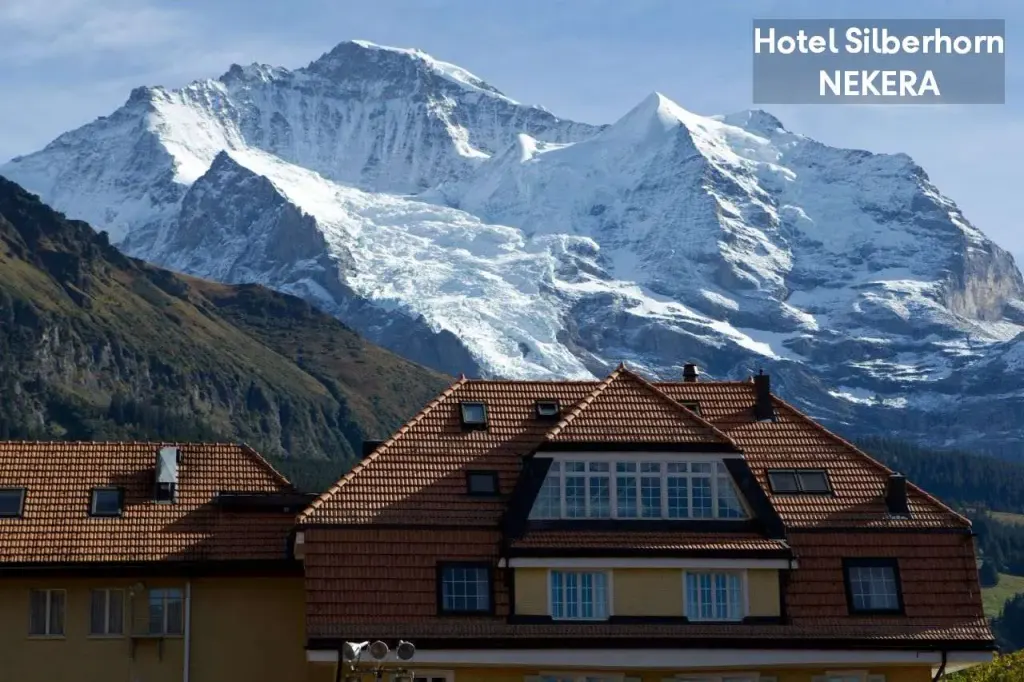 Hotel Silberhorn, zdjęcie 2