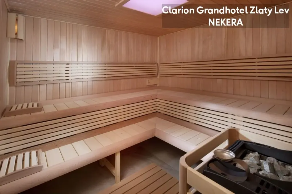 Clarion Grandhotel Zlaty Lev, zdjęcie 13