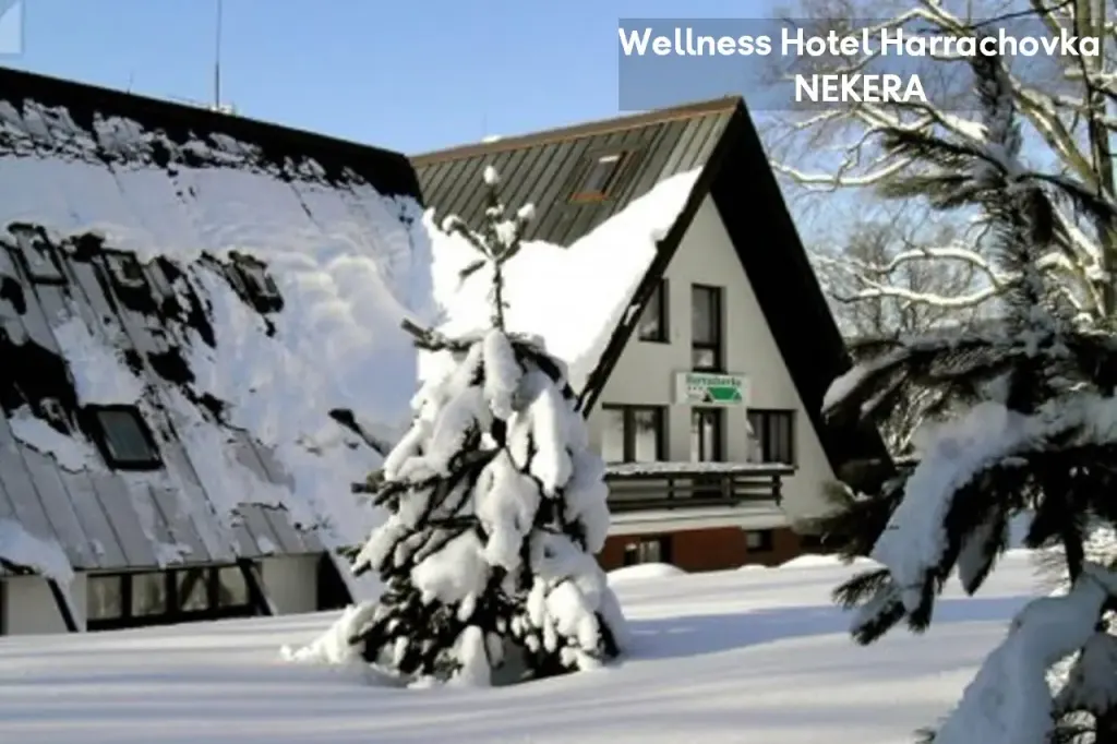 Wellness Hotel Harrachovka, zdjęcie 8