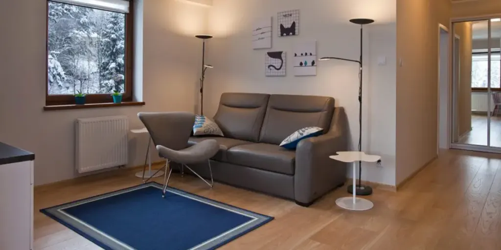 Sun & Snow Apartamenty Zielony Las, zdjęcie 9