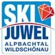 Newsletter skionline.pl, 15 października 2012
