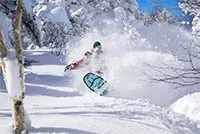 Newsletter skionline.pl, 27 listopada 2025