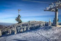 Newsletter skionline.pl, 15 listopada 2019