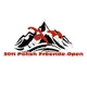 Newsletter skionline.pl, 17 lutego 2011