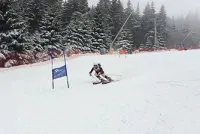 Newsletter skionline.pl, 13 stycznia 2016
