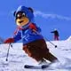 Newsletter skionline.pl, 17 lutego 2011