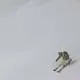 Newsletter skionline.pl, 29 marca 2011