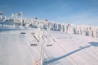 Newsletter skionline.pl, 8 lutego 2019
