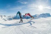 Newsletter skionline.pl, 8 lutego 2019