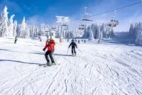Newsletter skionline.pl, 12 października 2021