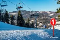 Newsletter skionline.pl, 13 stycznia 2017